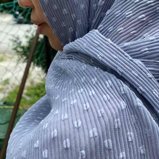 Eyla Pleated Chiffon Wideshawl